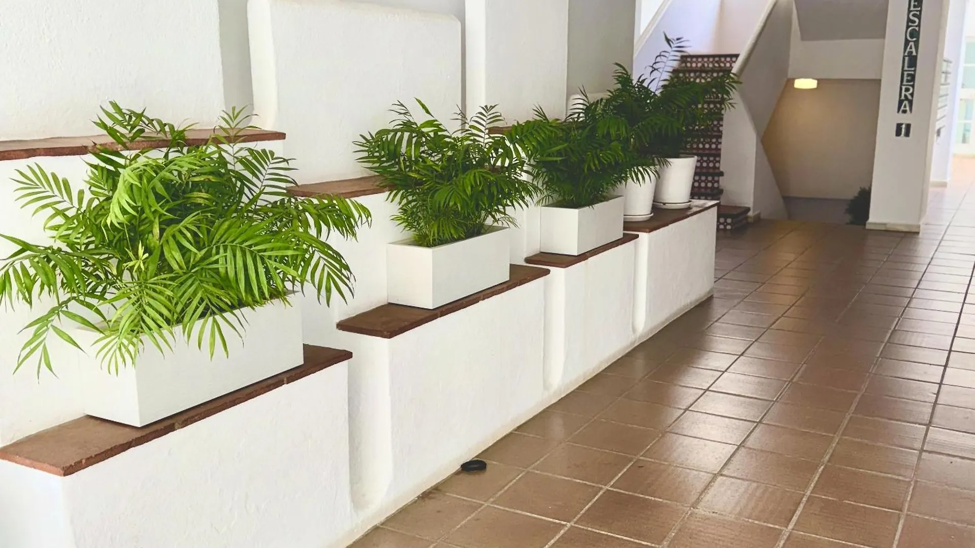 Amplio Y Luminoso Apartamento En Puerto Banus 马尔韦利亚 0*,  西班牙